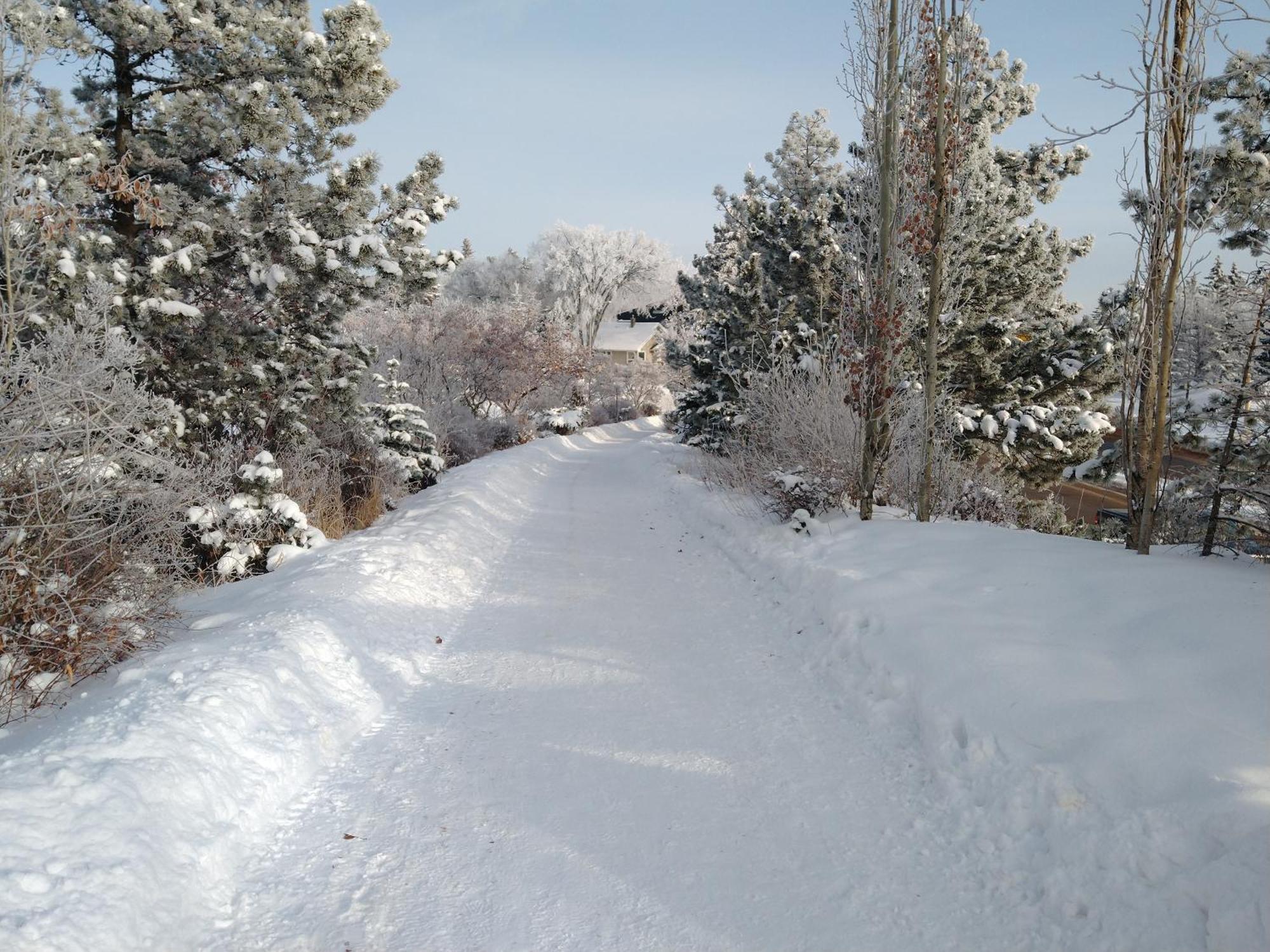 U Of A Homestay, Trails & Whyte Ave Edmonton Oda fotoğraf