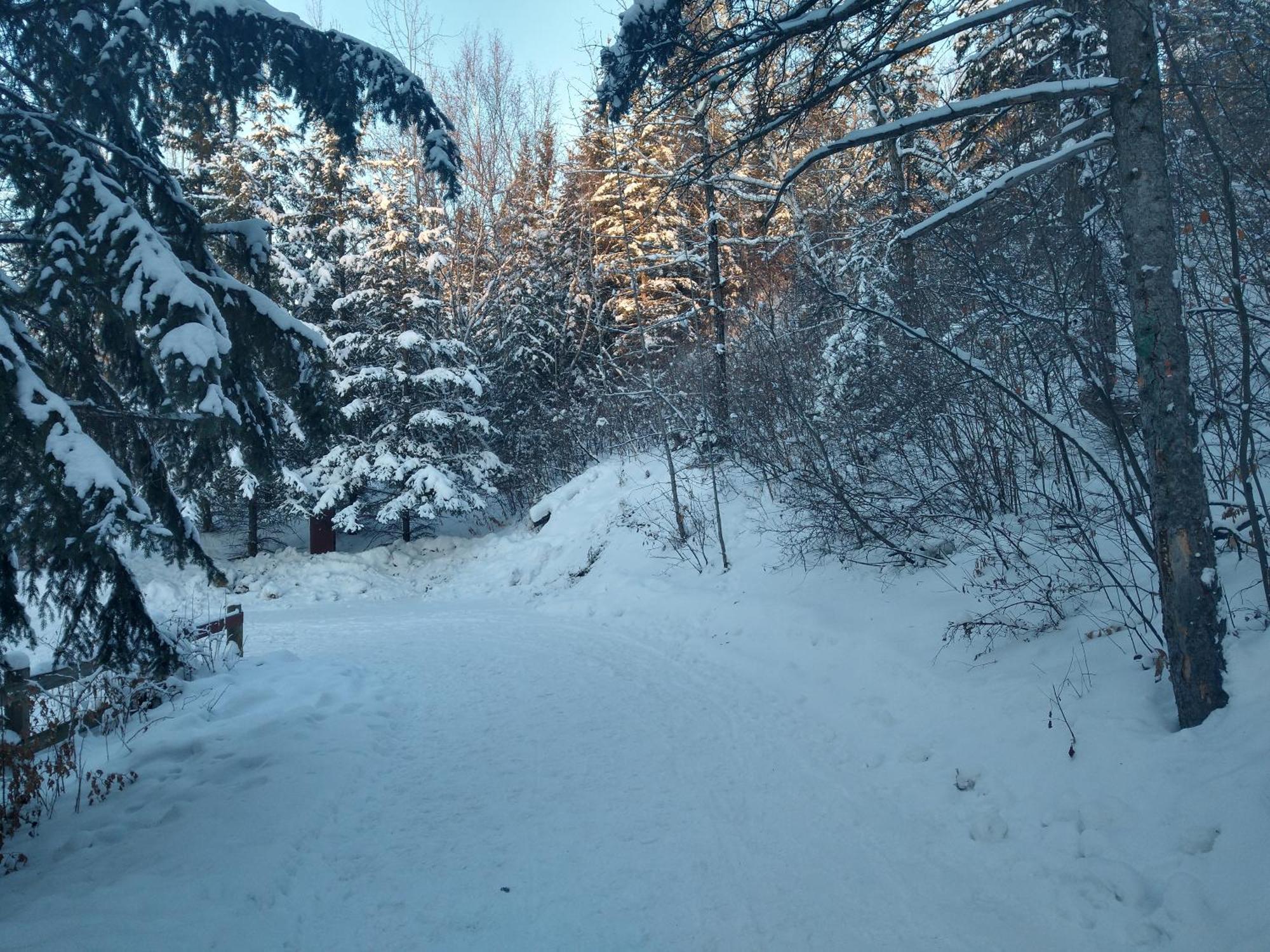 U Of A Homestay, Trails & Whyte Ave Edmonton Oda fotoğraf
