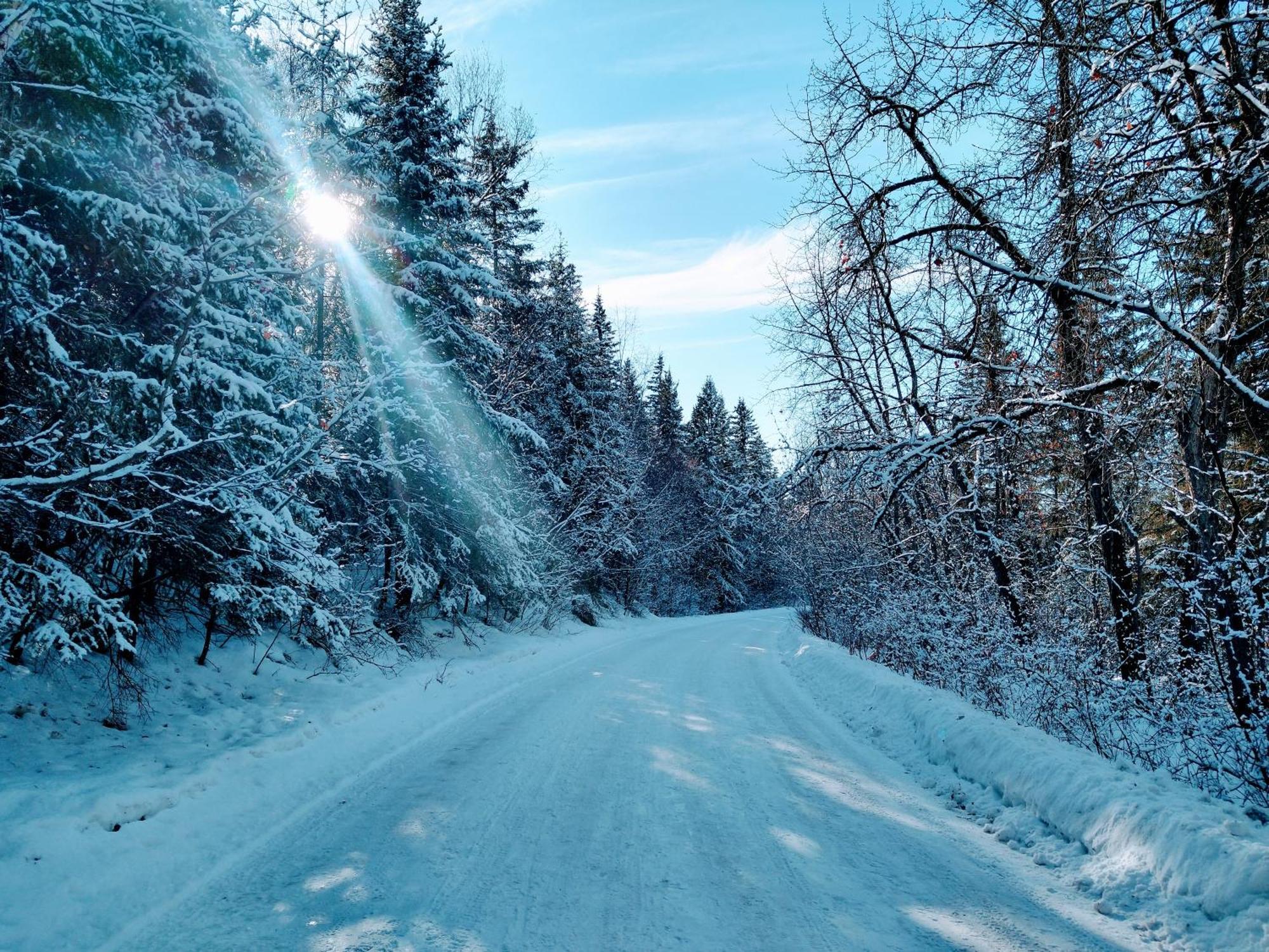 U Of A Homestay, Trails & Whyte Ave Edmonton Oda fotoğraf