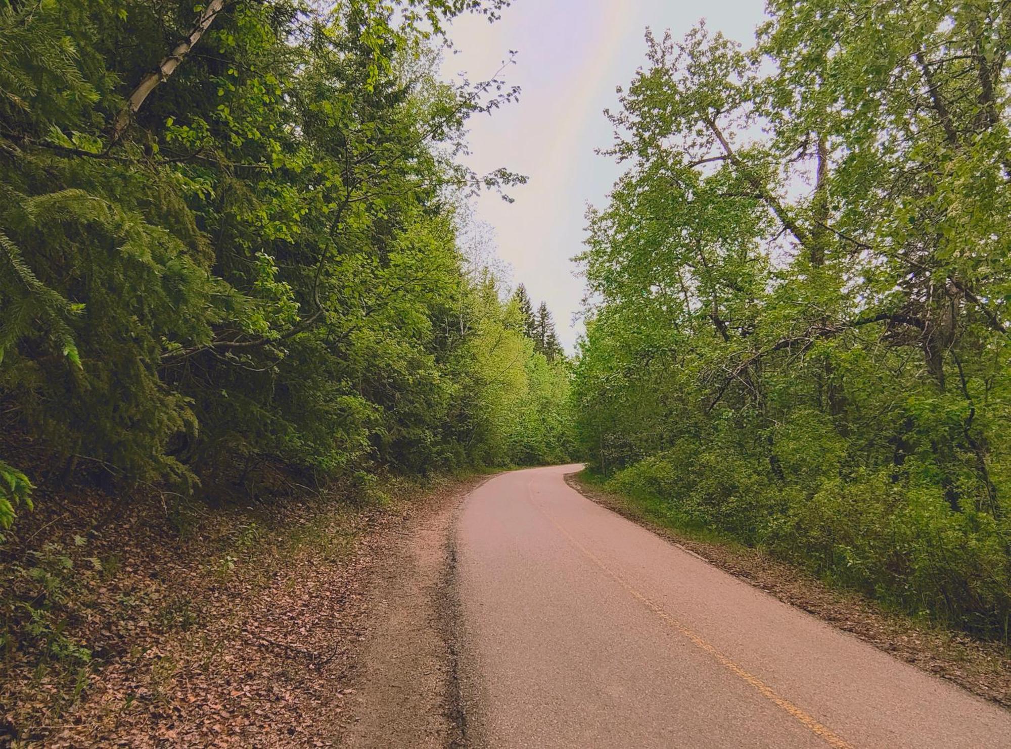 U Of A Homestay, Trails & Whyte Ave Edmonton Dış mekan fotoğraf