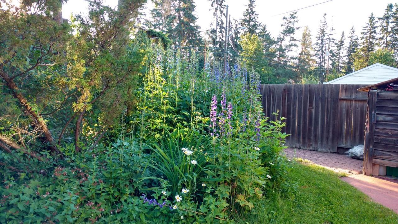 U Of A Homestay, Trails & Whyte Ave Edmonton Dış mekan fotoğraf